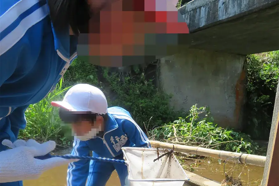 水辺の生き物調べ