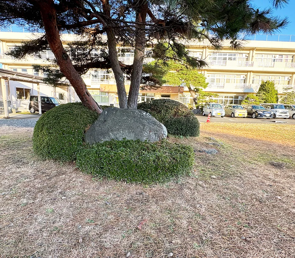 学校紹介背景画像